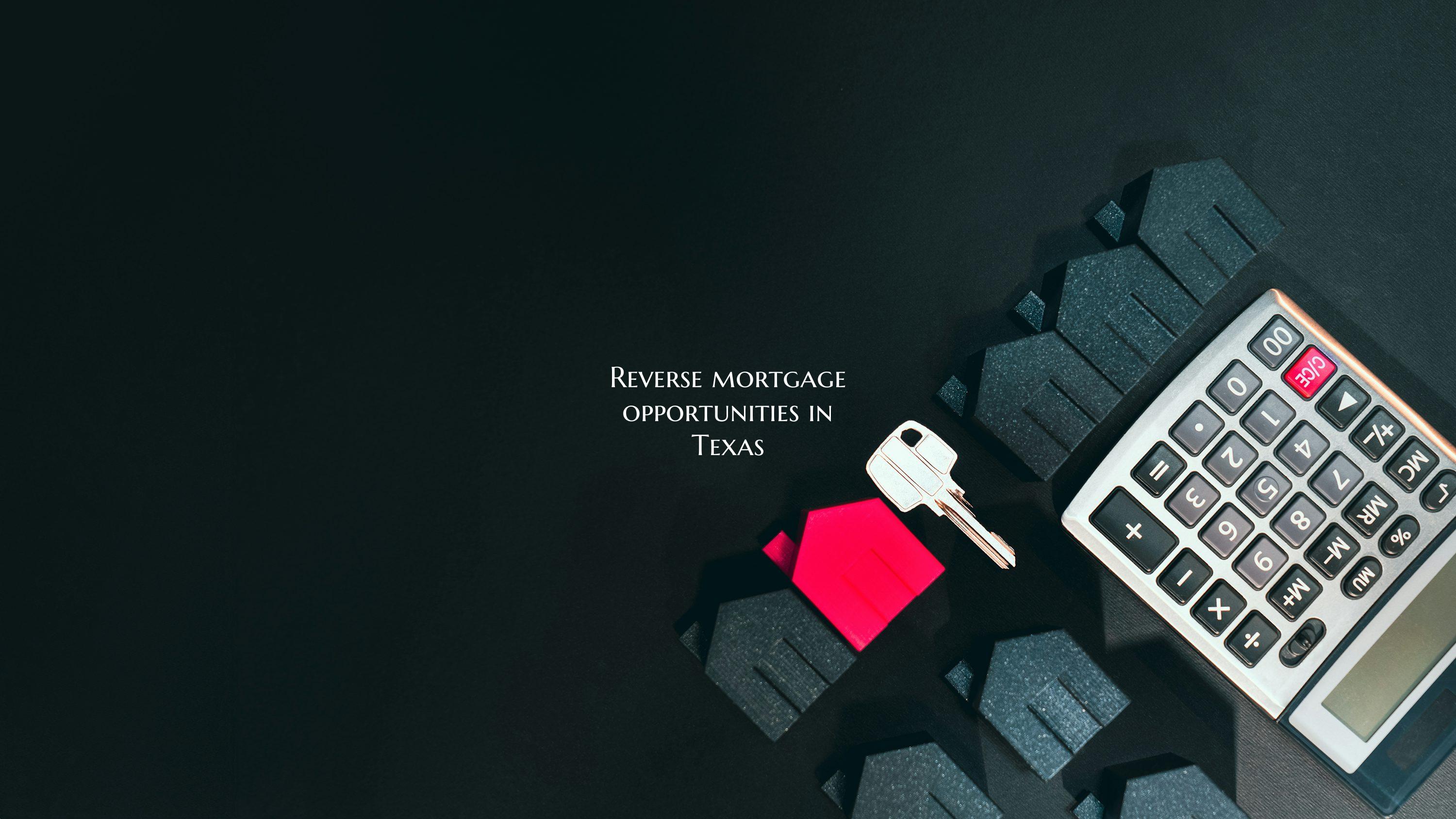 Reverse mortgage opportuniti...